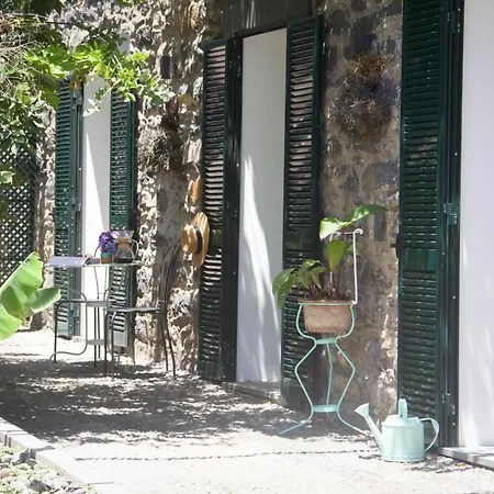 Irlandas Seaside * Funchal (Madeira)
