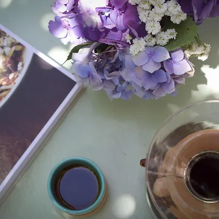 Irlandas Seaside Villa Funchal