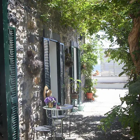 Irlandas Seaside Funchal